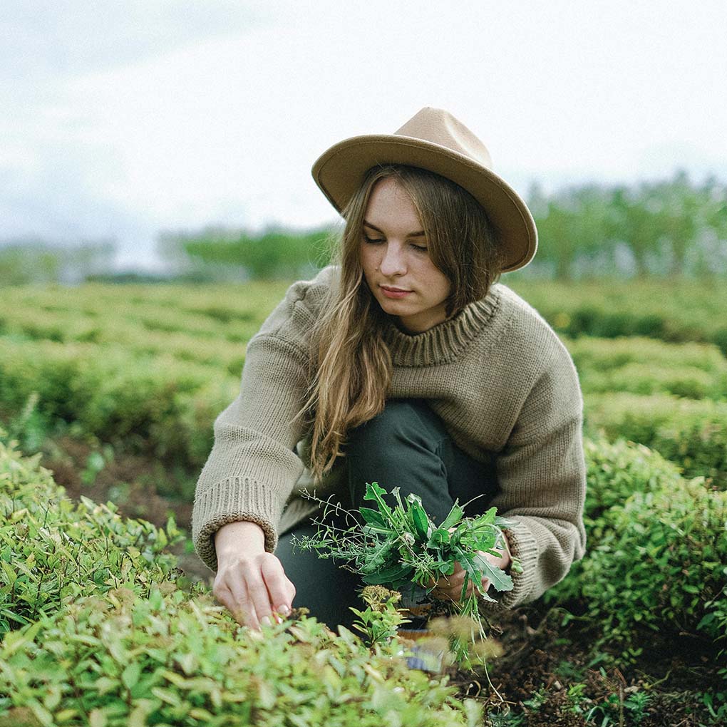 A woman squatting in a farm field, harvesting herbs in a sweater and wide brimmed hat