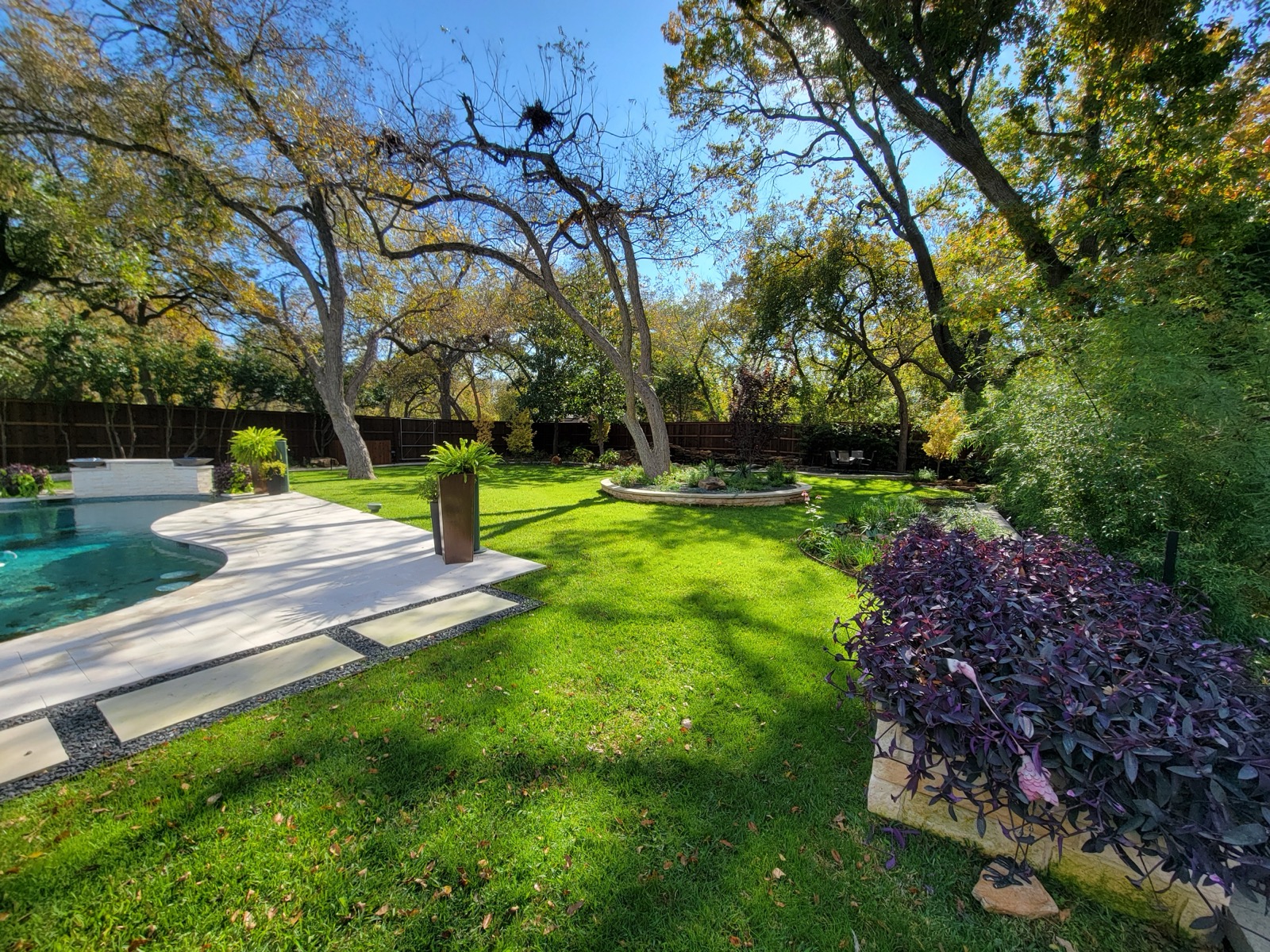 Backyard with pool and mature trees