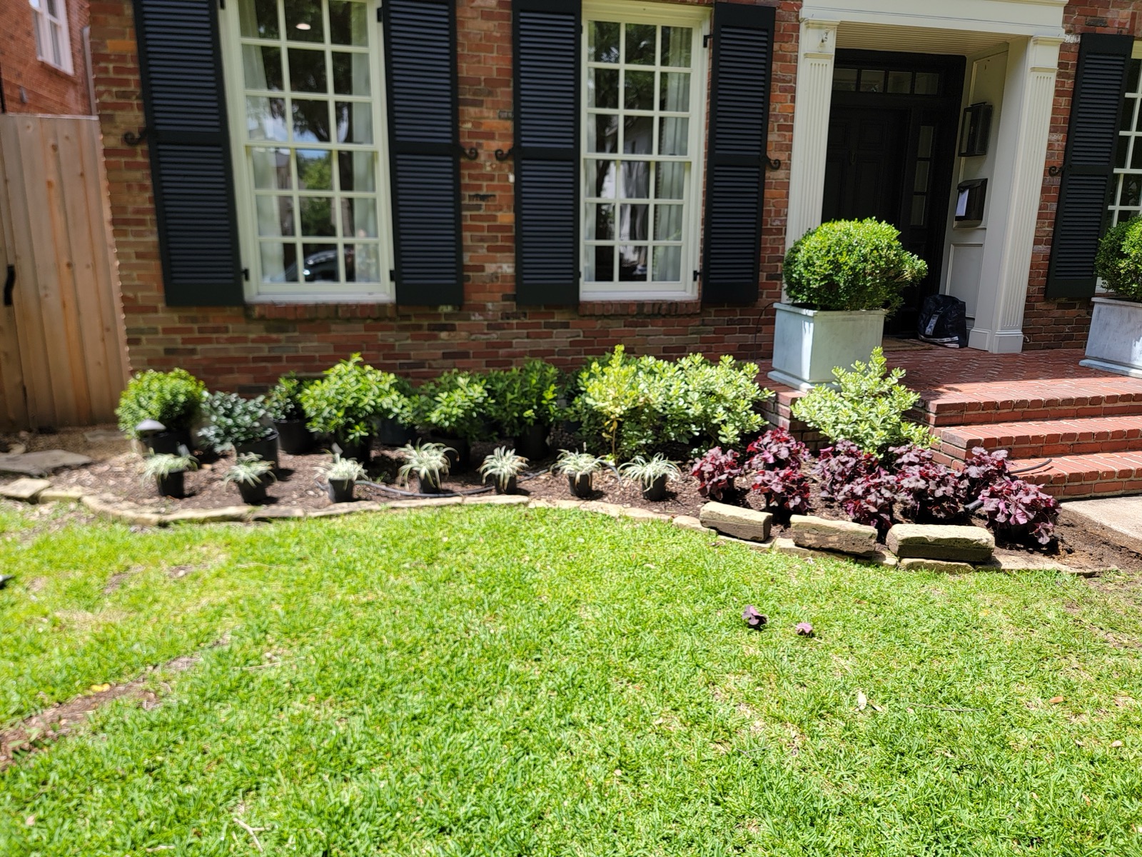Front yard planting installation